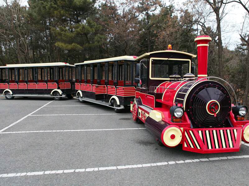 【纯玩私家团】大连圣亚海洋世界  莲花山观景台 东海公园 渔人码头一