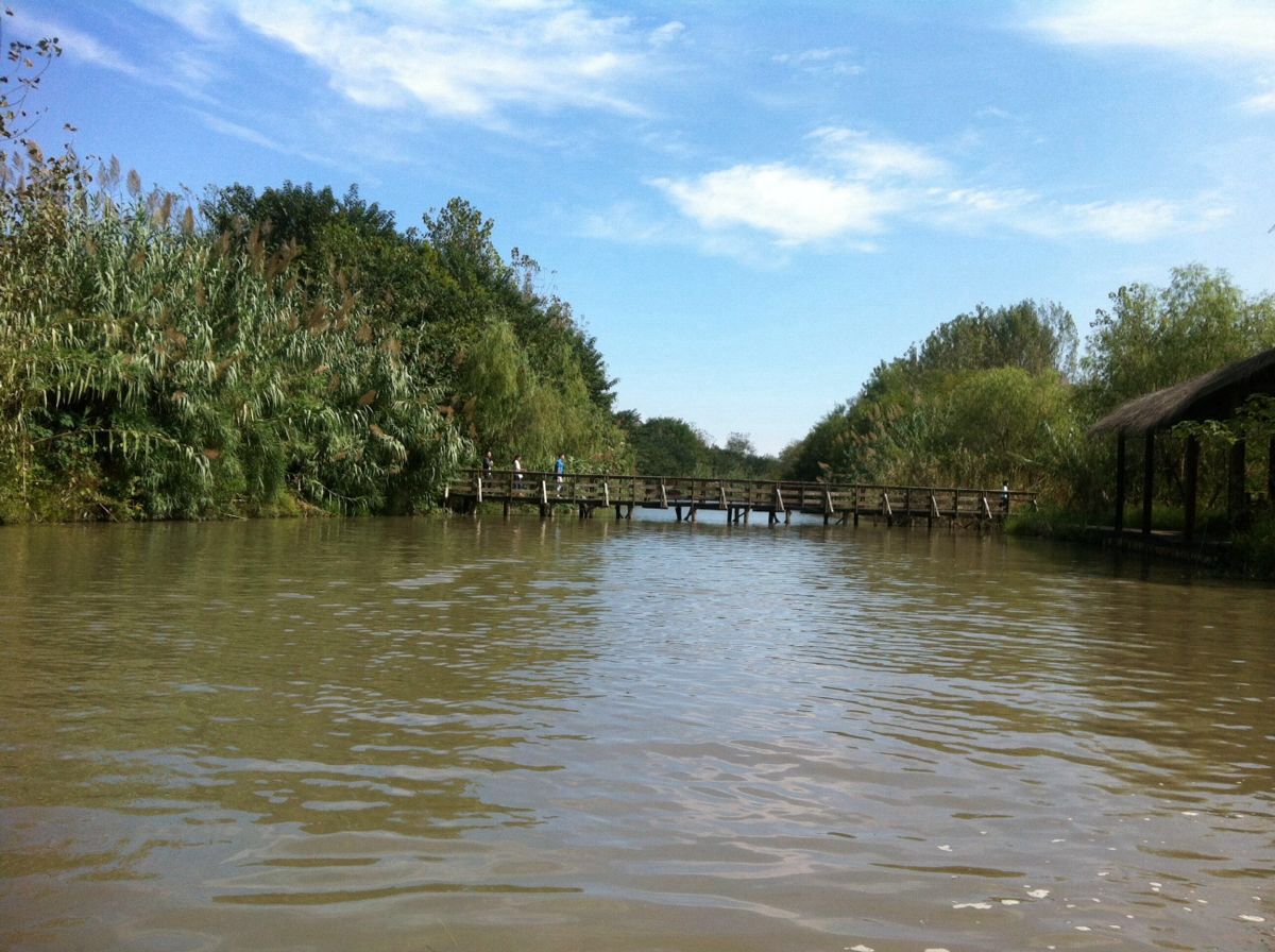 溱湖國家溼地公園旅遊景點攻略圖