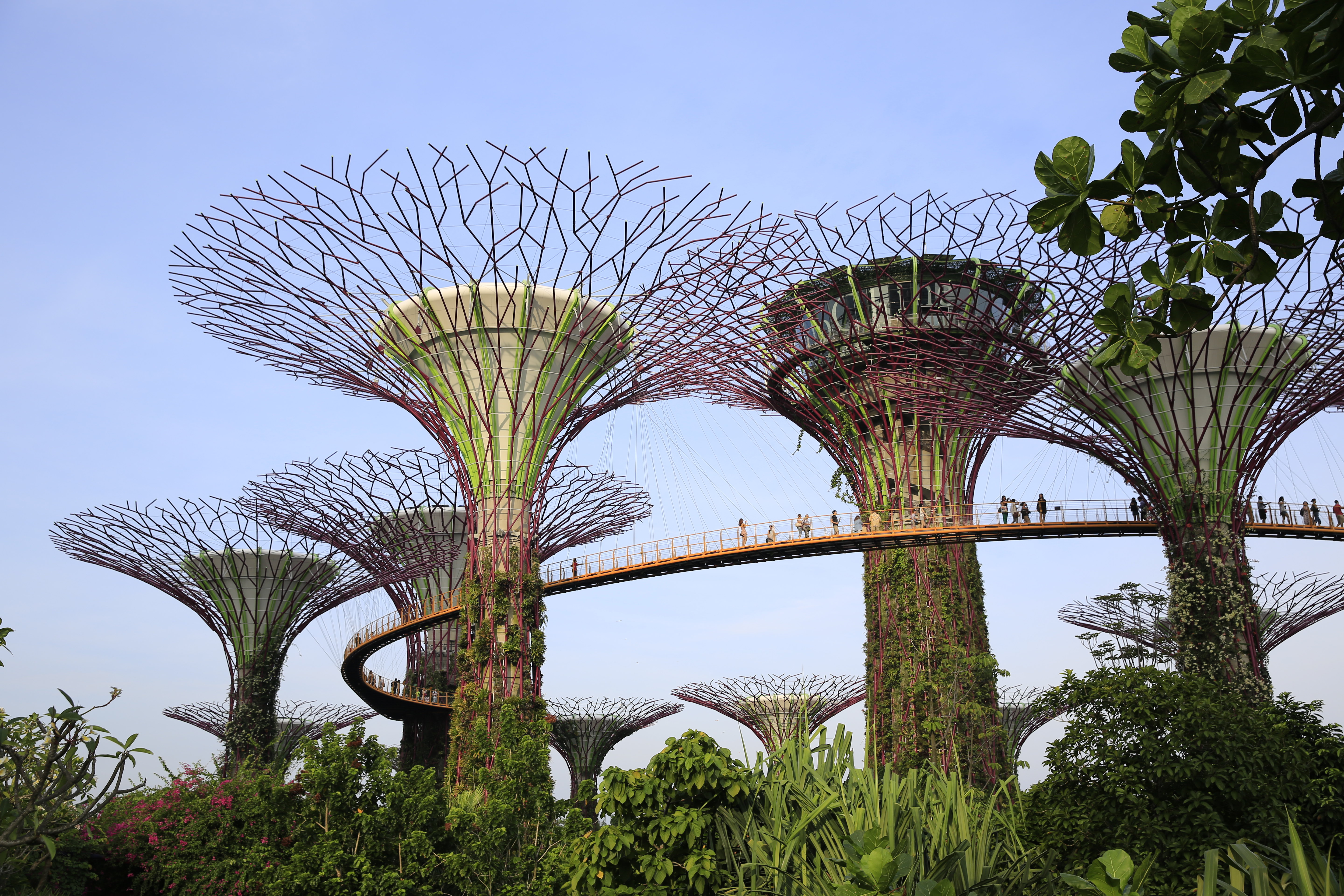 【携程攻略】新加坡新加坡滨海湾花园景点,滨海湾花园是我十分喜欢的