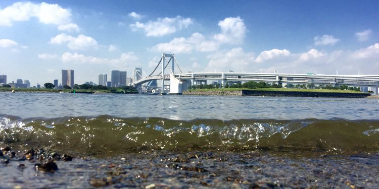 苫小牧市六日游攻略 苫小牧市六日游最佳路线推荐 苫小牧市六日游必去景点 携程攻略