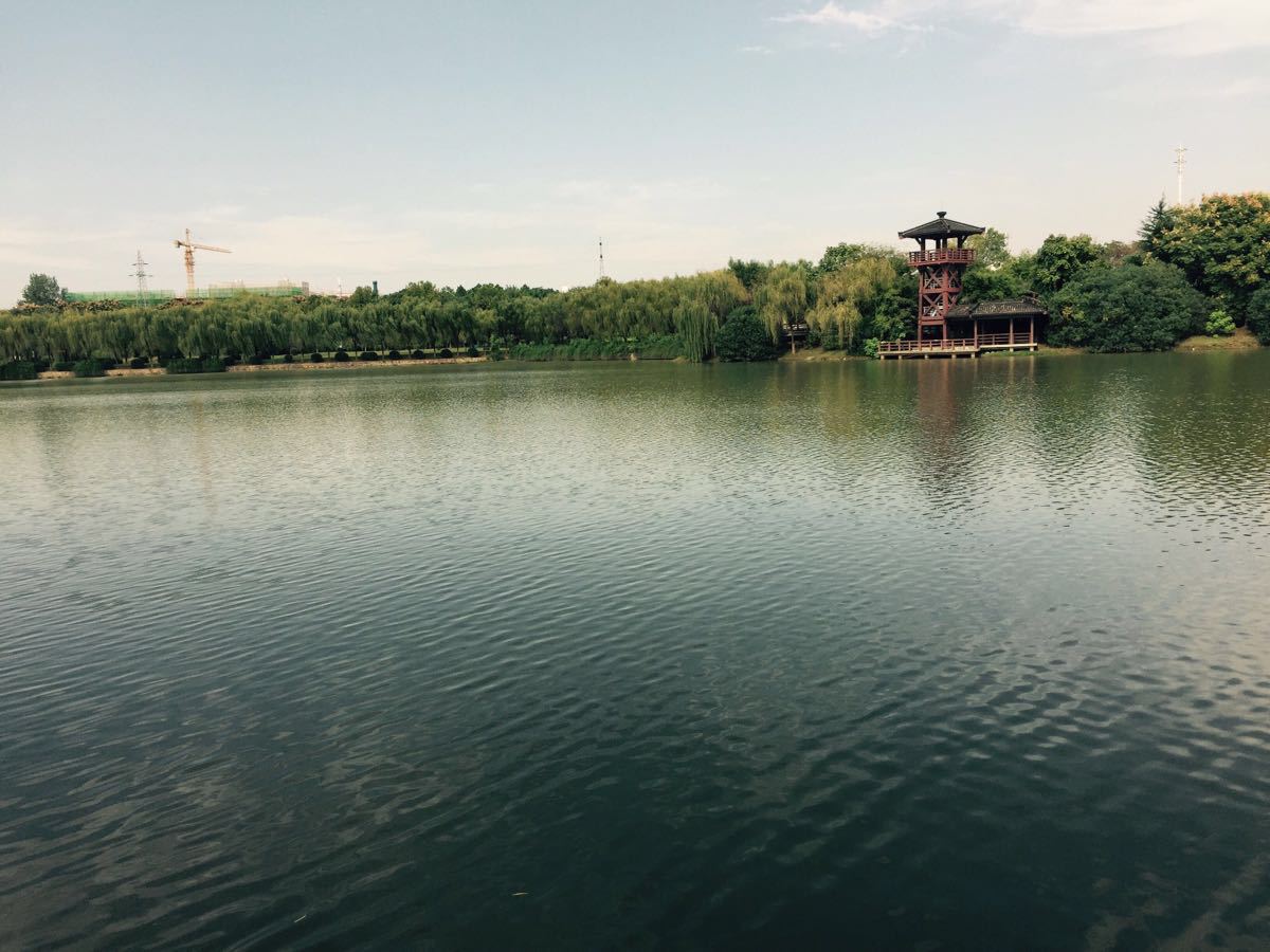 沌口汤湖公园图片