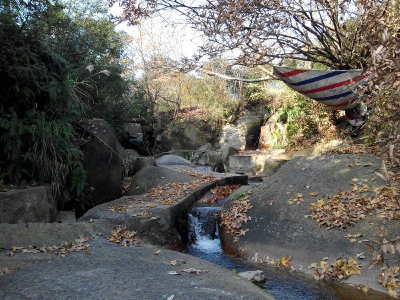 温州龙冈山遗址攻略-龙冈山遗址门票价格多少钱-团购票价预定优惠