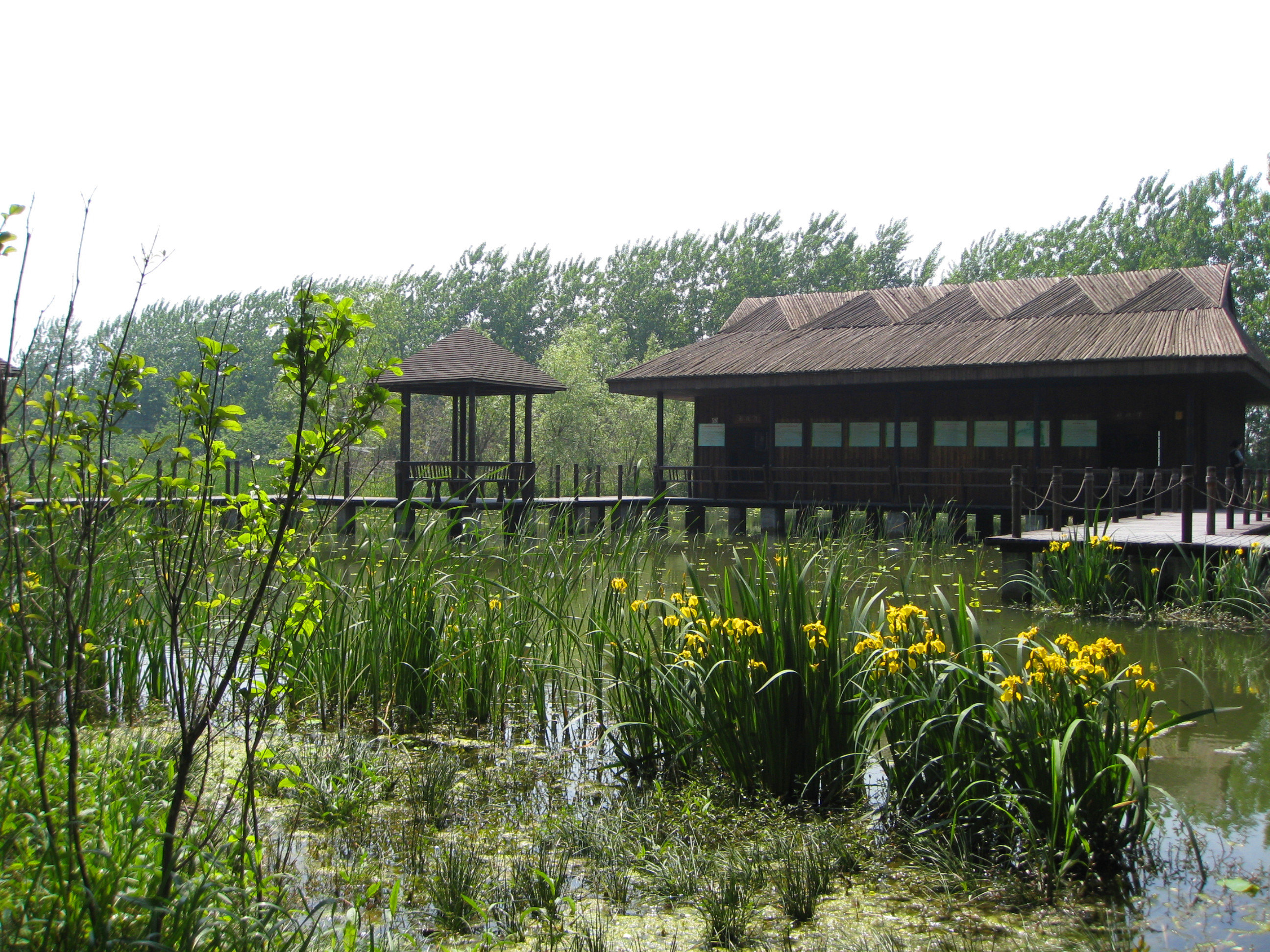 【携程攻略】江苏泰州溱湖国家湿地公园好玩吗,江苏溱湖国家湿地公园