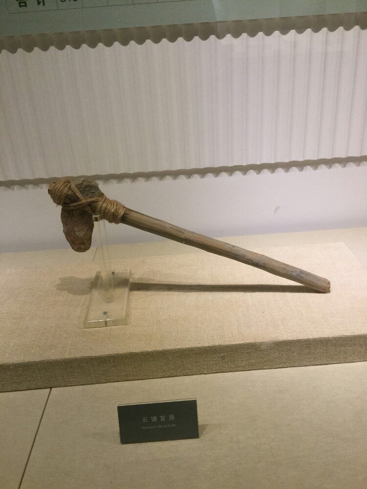 【携程攻略】陕西半坡博物馆景点,主要是新石器时代的民居,可以学到