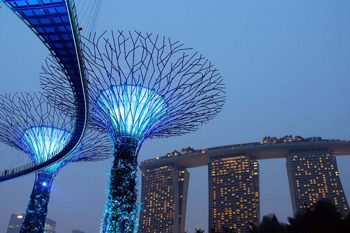 两个冷室都很棒,尤其是云雾林更有感觉,出来已经7点了,够了skyway的票