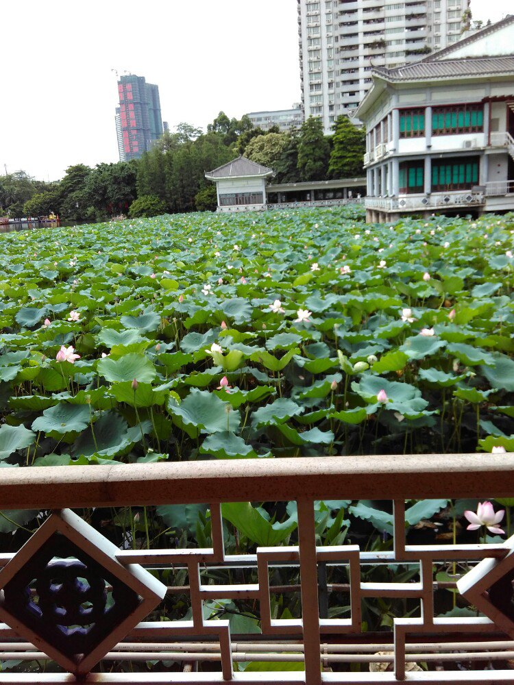 荔灣湖公園旅遊景點攻略圖