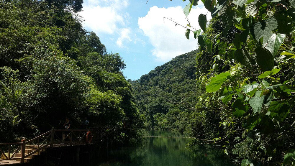 【攜程攻略】肇慶蝴蝶谷景點,鼎湖山保存比較完整的未開發地,山路崎嶇