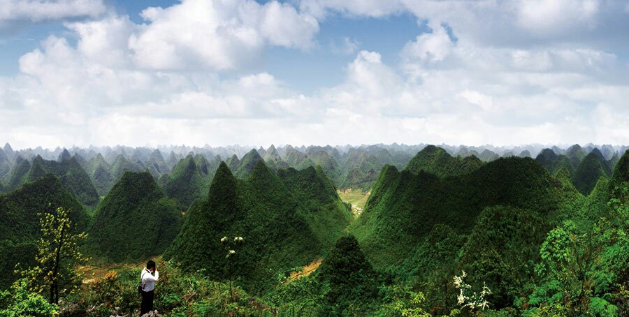 茂兰国家森林公园图片