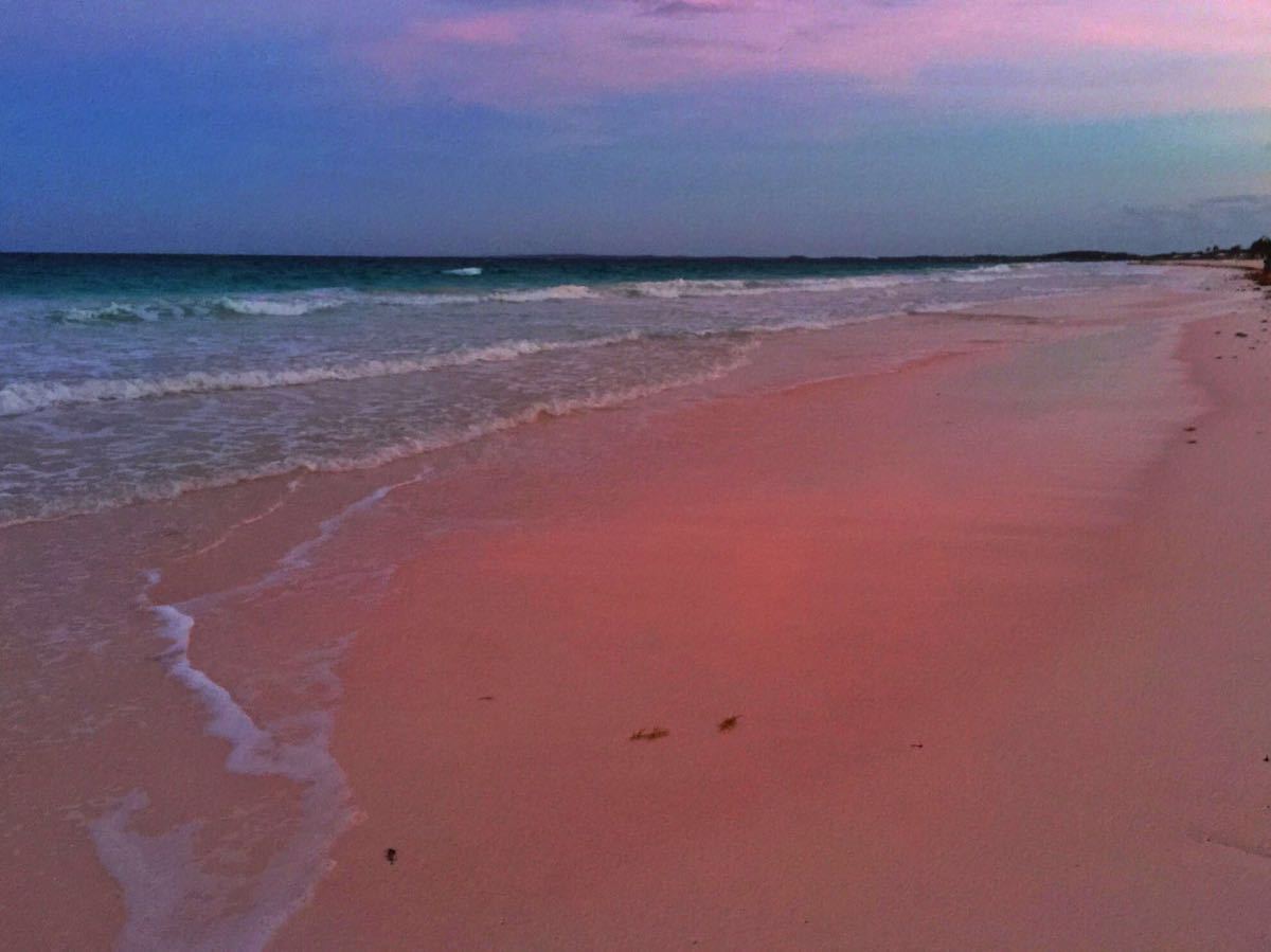 少女心炸裂！全世界最美的10个粉色海滩，有机会一定要去！_沙滩