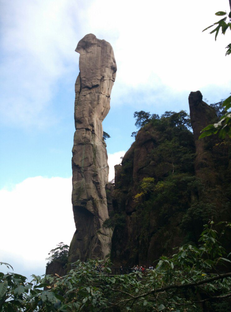 巨蟒出山