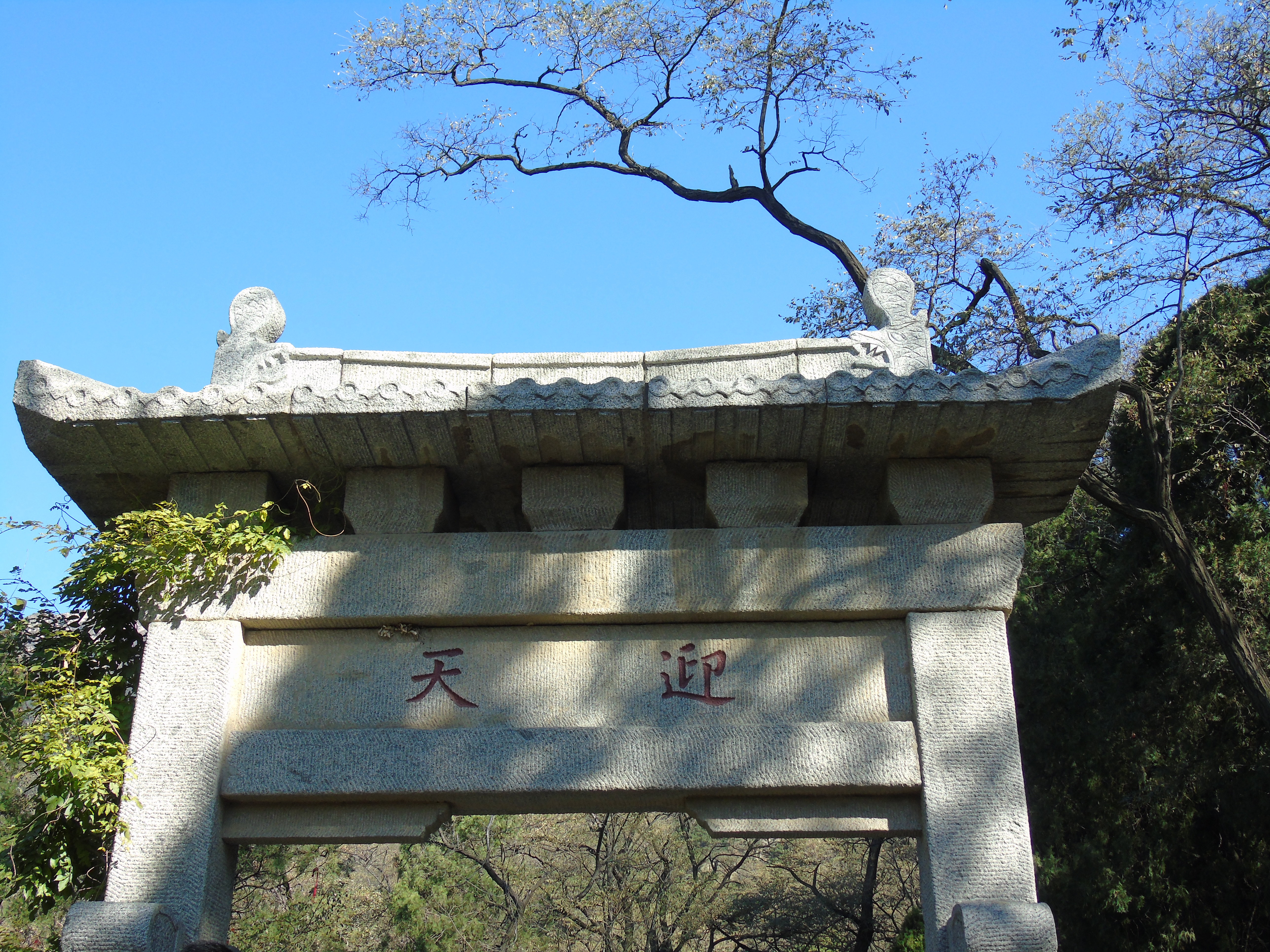 为了散文《泰山极顶-而登泰山