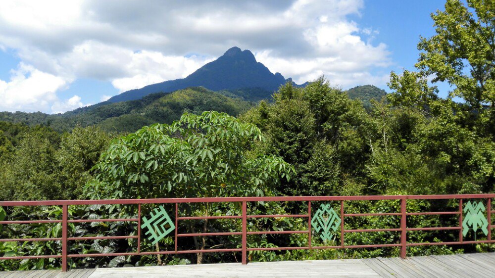 五指山热带雨林风景区