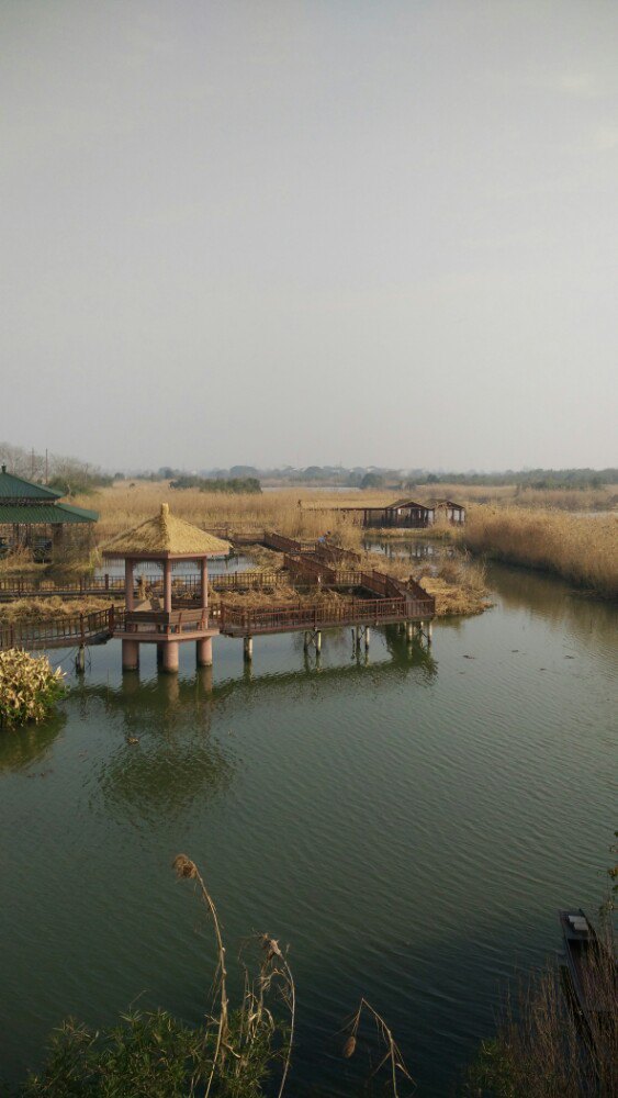 德清下渚湖湿地公园旅游景点攻略图