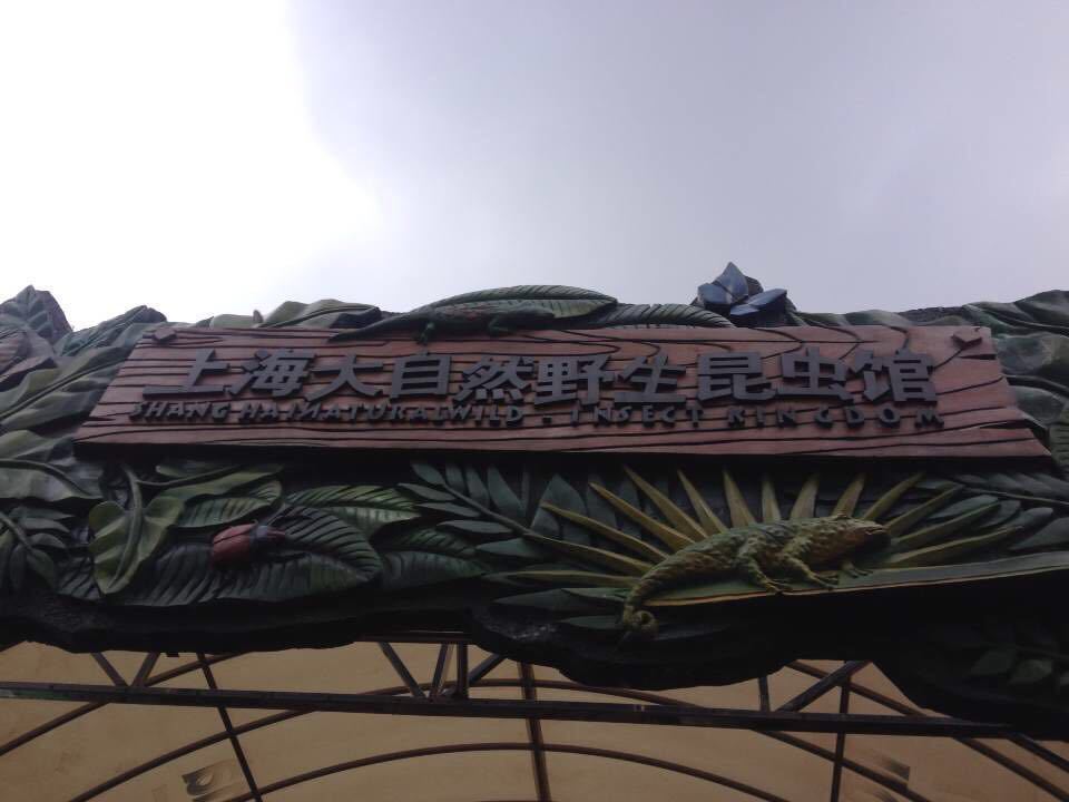 2019上海大自然野生昆虫馆