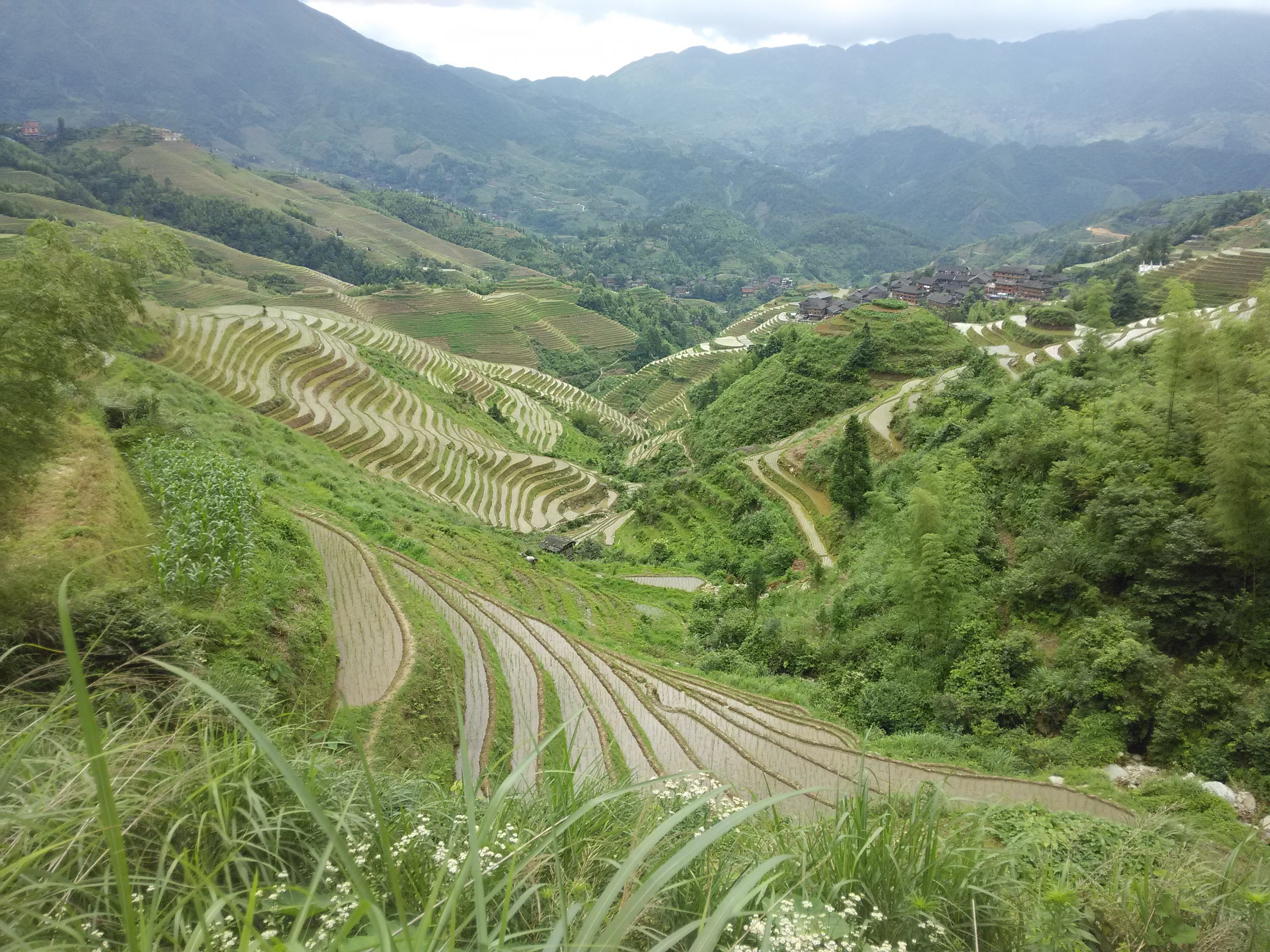 平安壮族梯田