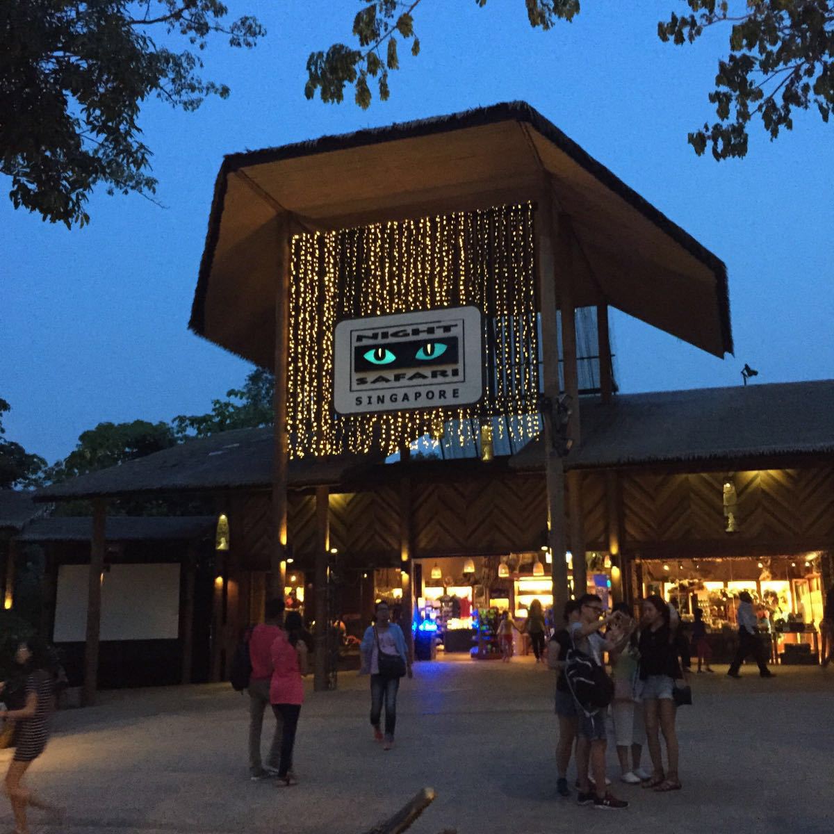 这里还可以吧,晚上动物都睡觉了,没睡觉的只有鹿了