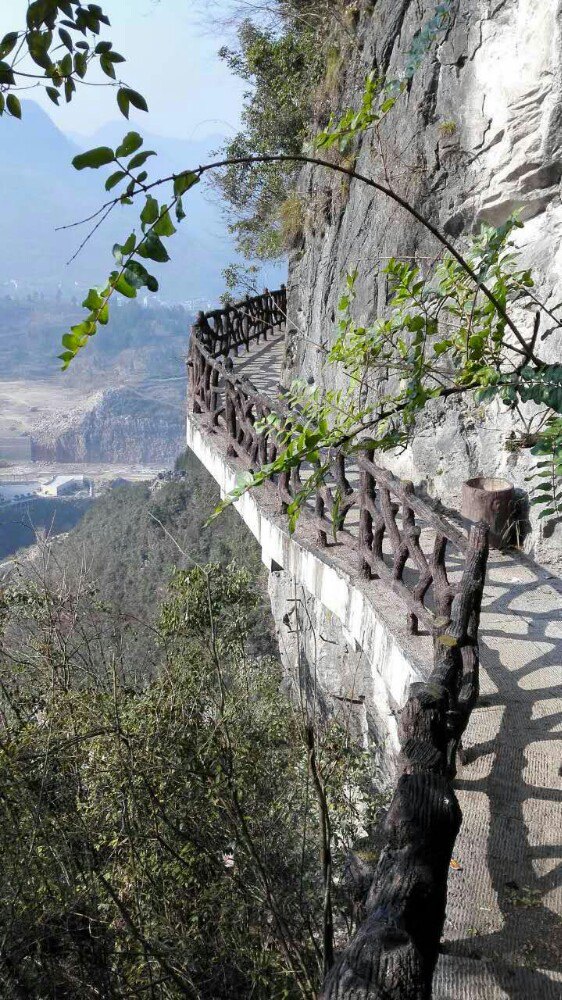 鹤峰八峰森林公园图片