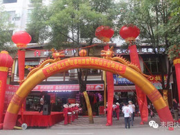 耒阳市人均_耒阳市地图(2)