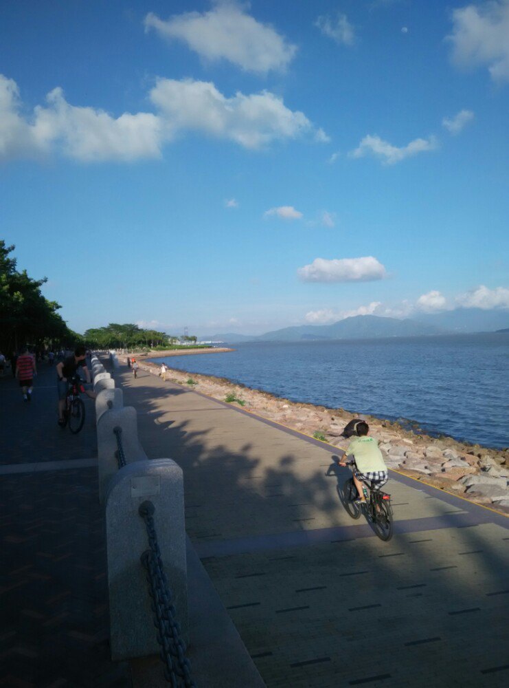 2019红树林_旅游攻略_门票_地址_游记点评,深圳旅游景点推荐 - 去哪儿