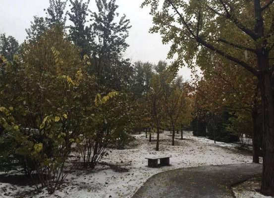 你在北方大雪纷飞 我在南方四季如春 北京游记攻略 携程攻略