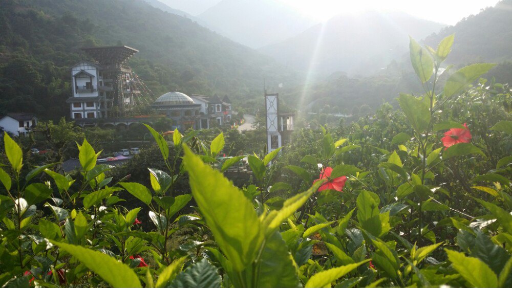 新興天露山旅遊度假區