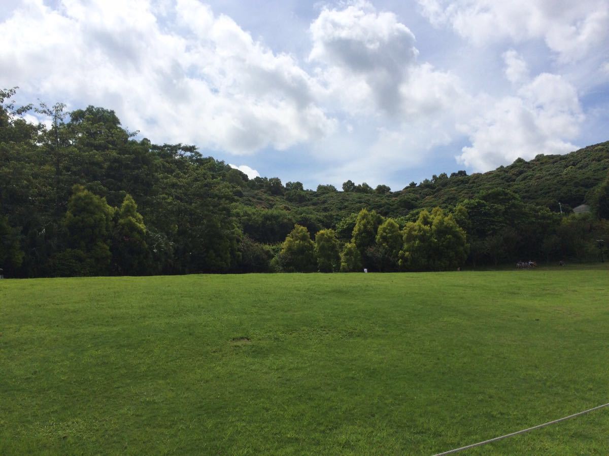 2019寶安公園_旅遊攻略_門票_地址_遊記點評,深圳旅遊景點推薦 - 去