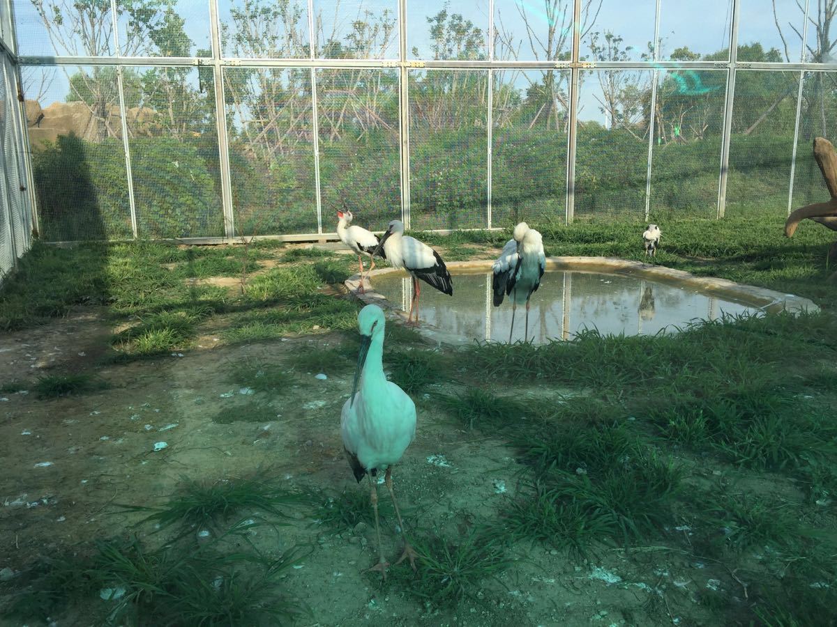 2018龍沙動植物園_旅遊攻略_門票_地址_遊記點評,齊齊哈爾旅遊景點