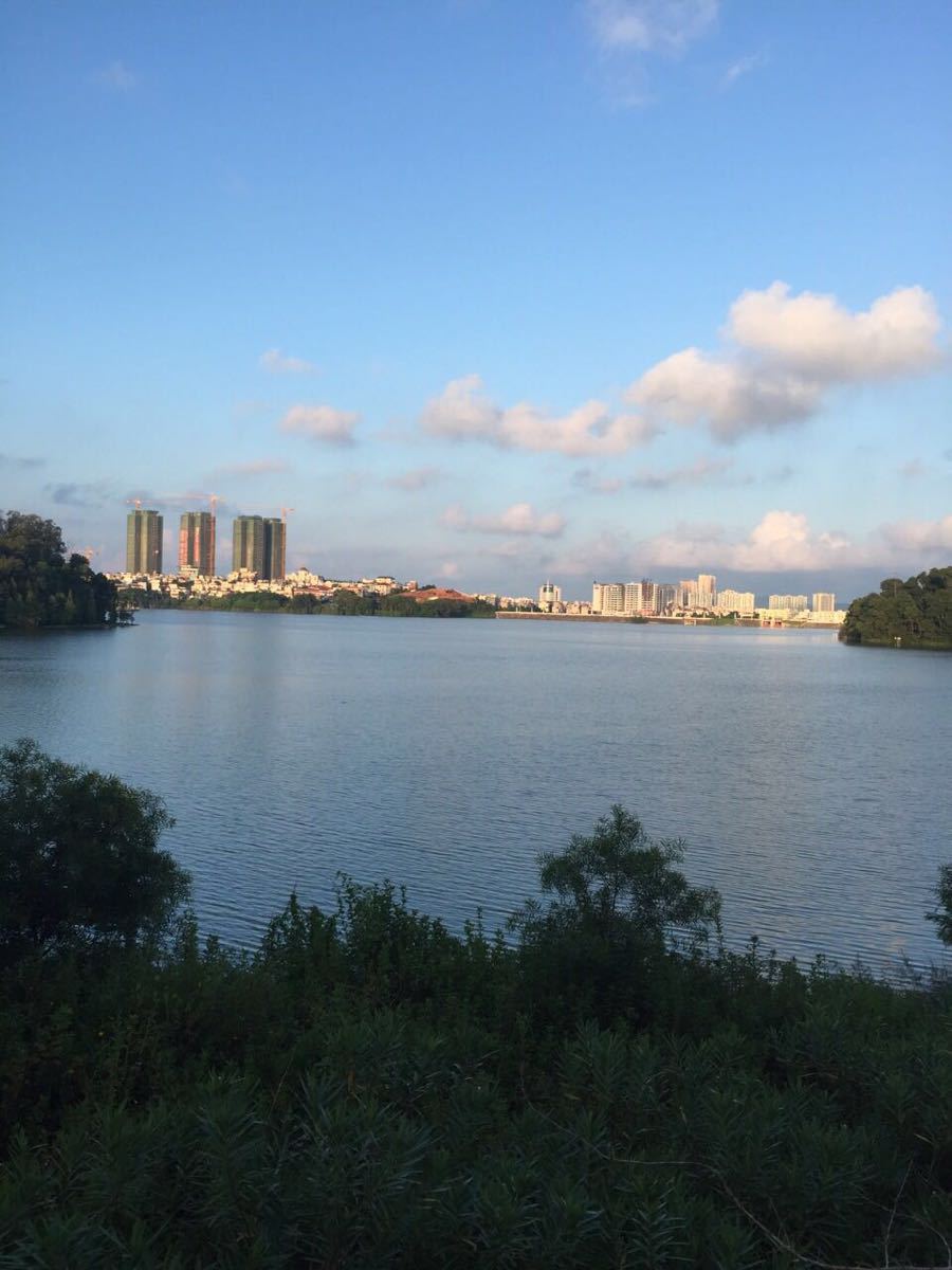 2018鴛鴦湖公園_旅遊攻略_門票_地址_遊記點評,陽江旅遊景點推薦 - 去