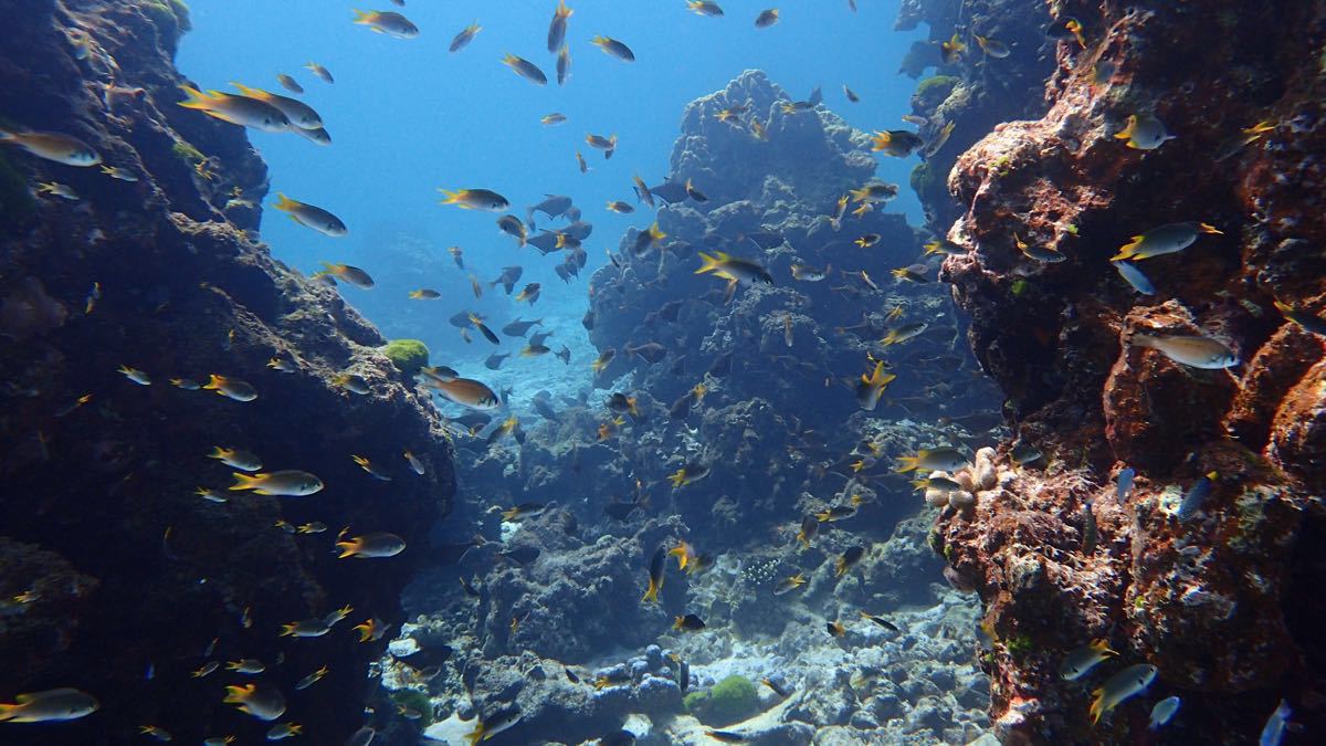 岛皇帝岛景点,景色很好 在小皇帝岛潜水两次 看到很多鱼 大皇帝岛海