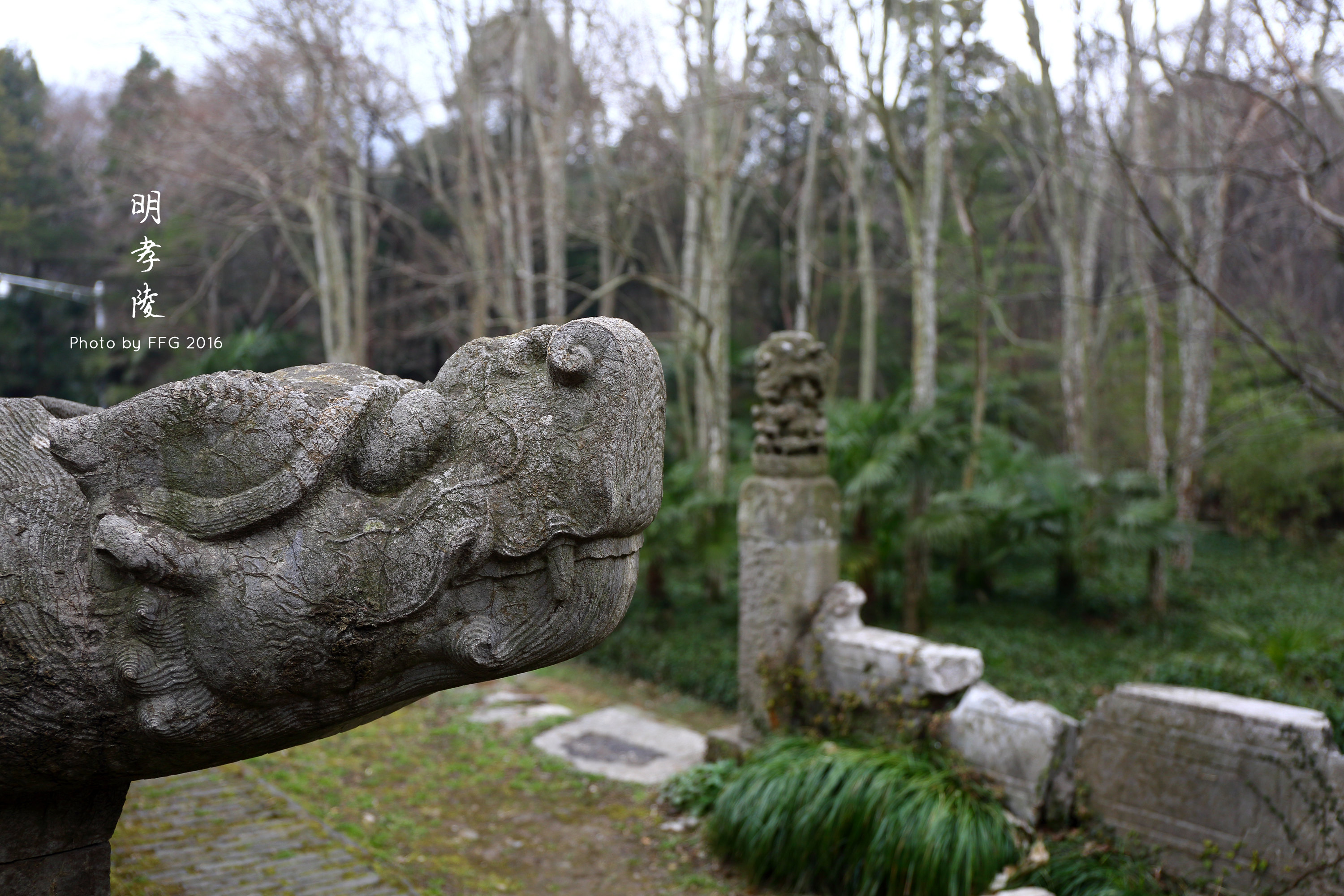 【攜程攻略】南京明孝陵適合單獨旅行旅遊嗎,明孝陵單獨旅行景點推薦