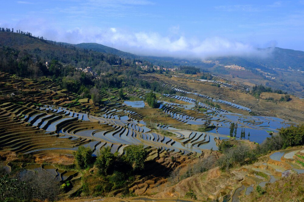 地址(位置,怎麼去,怎麼走): 雲南省紅河哈尼族彝族自治州元陽縣新街