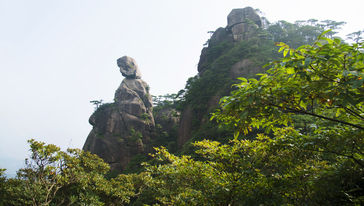 三清山风景区一日游【送意外险 婺源天天发 特