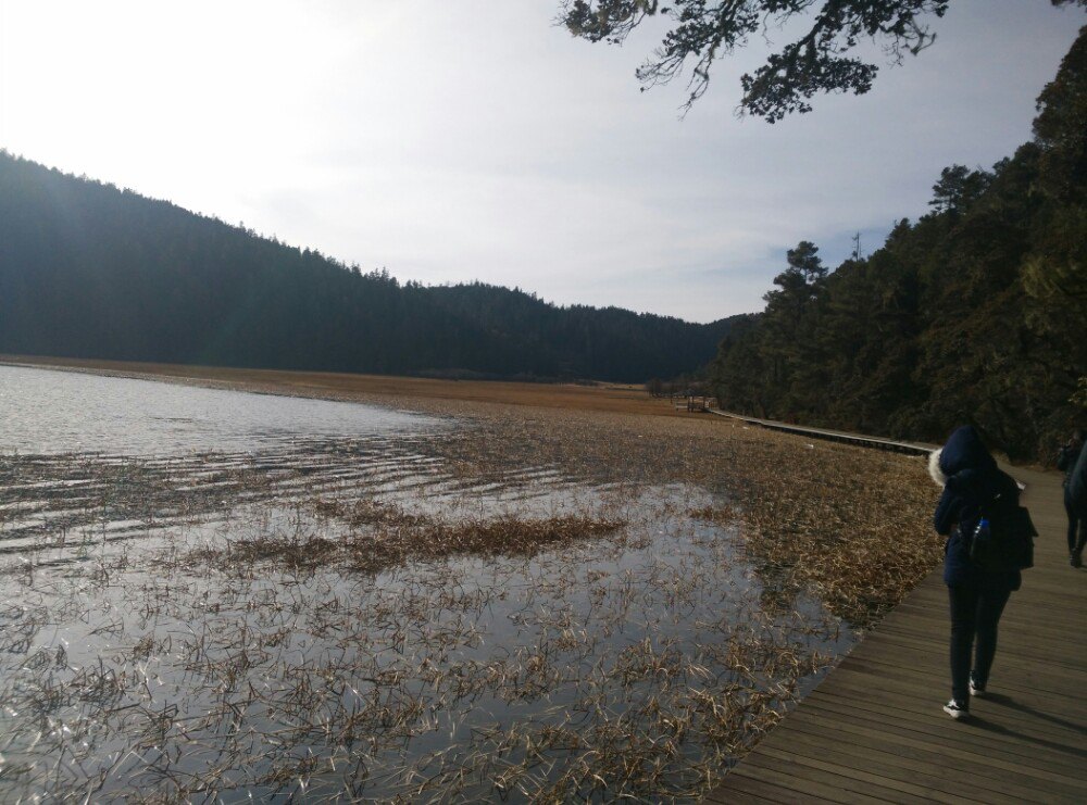 普達措國家公園