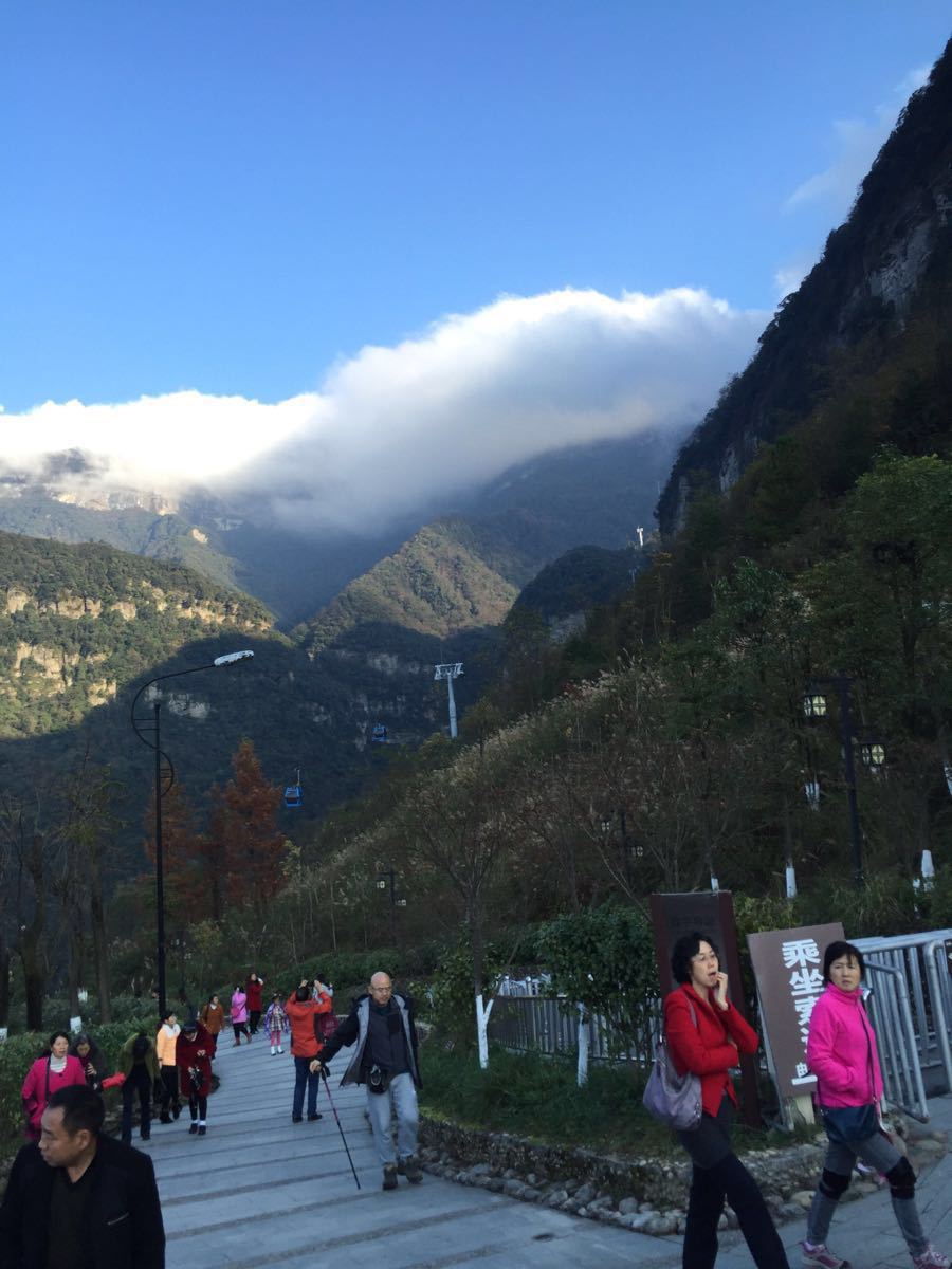 2019金佛山_旅遊攻略_門票_地址_遊記點評,南川旅遊景點推薦 - 去哪兒