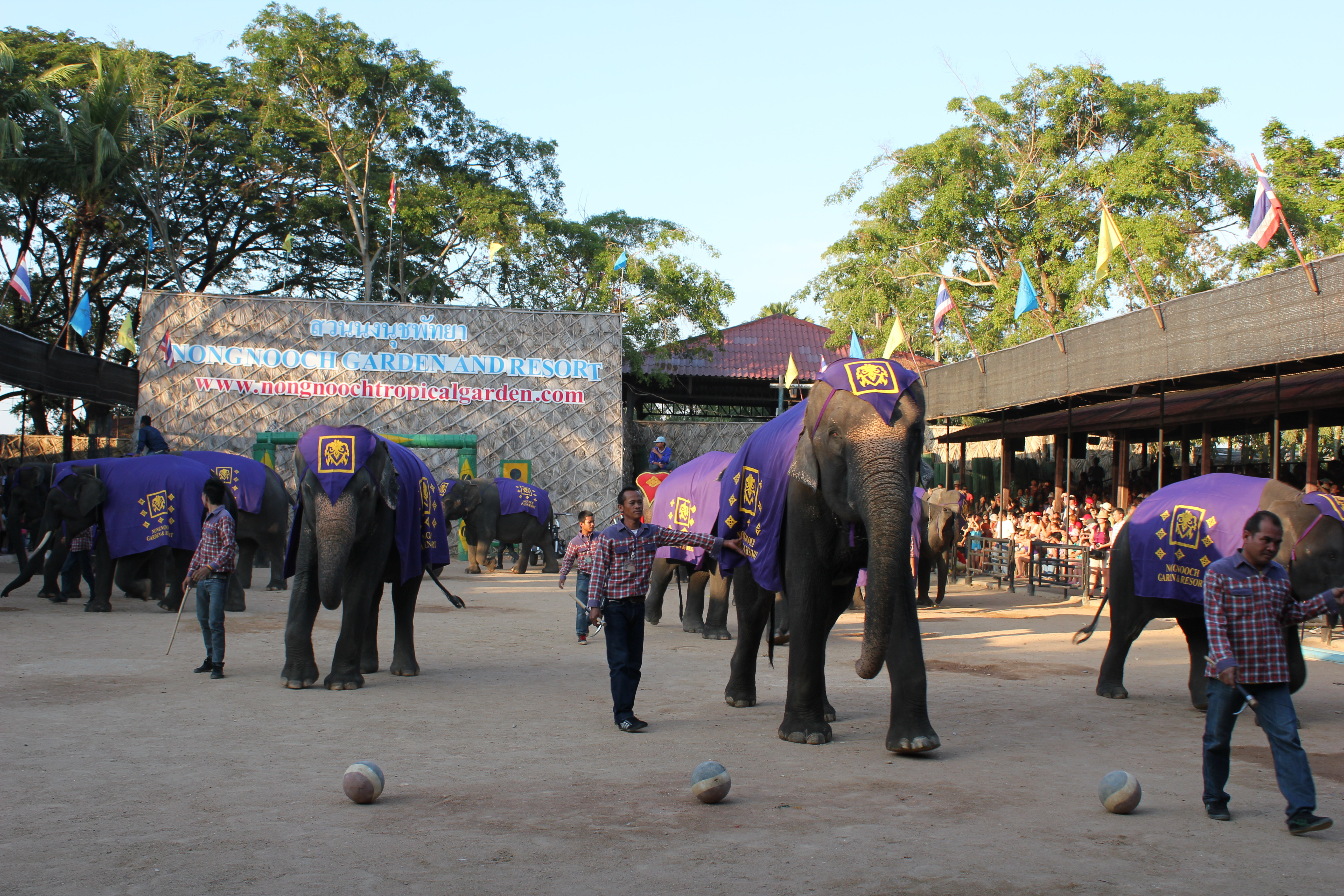 东芭乐园位于泰国芭提雅,占地面广,是一个泰式乡村风格的休闲兼度假