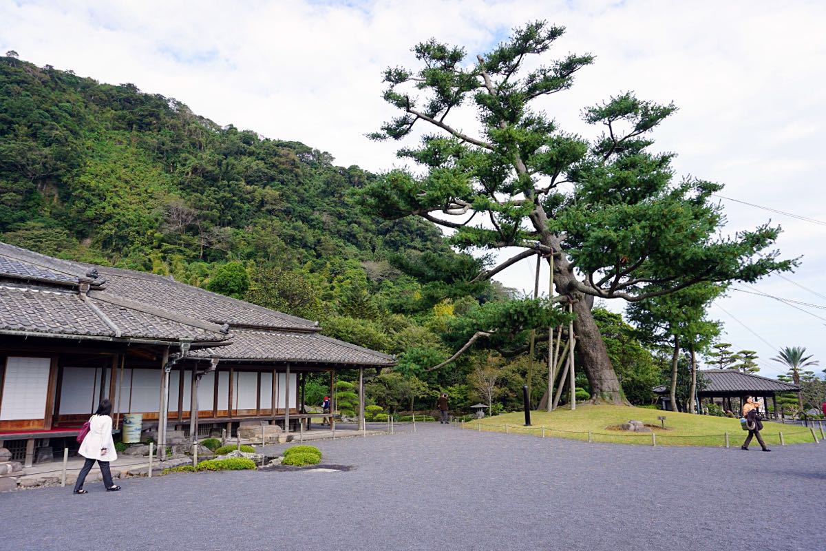 【攜程攻略】鹿兒島仙岩園景點,從鹿兒島中央站坐觀光巴士可達.