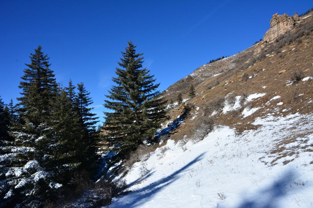 寧夏賀蘭山踏雪之旅-穿越寧夏與內蒙古尋找最美冬日雪景(阿拉善左旗南