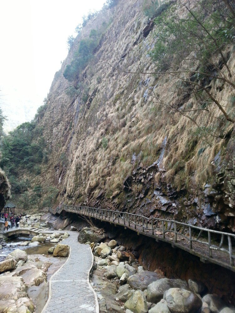 臨安旅遊景點推薦 - 去哪兒攻略社區