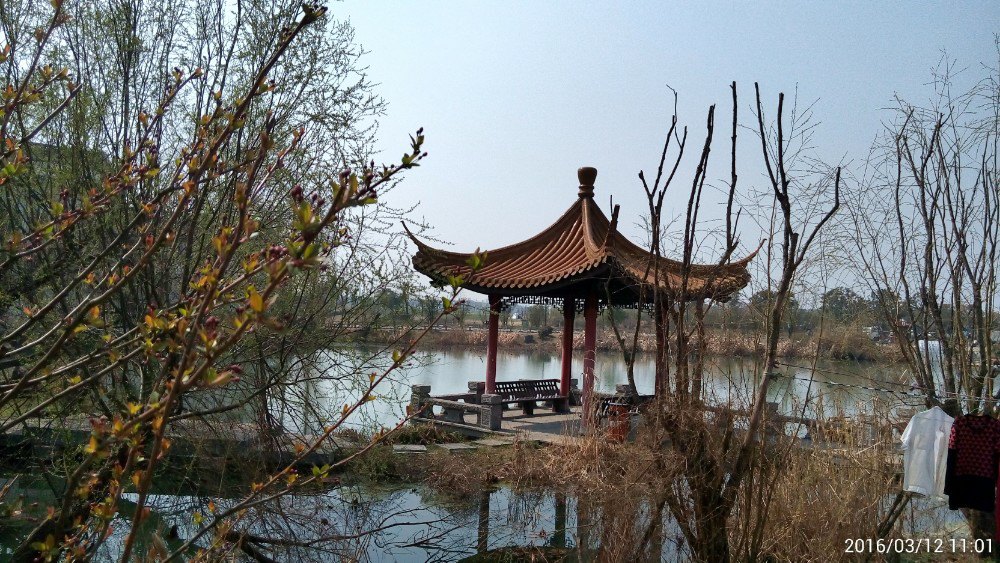 南京杨柳湖风景区图片