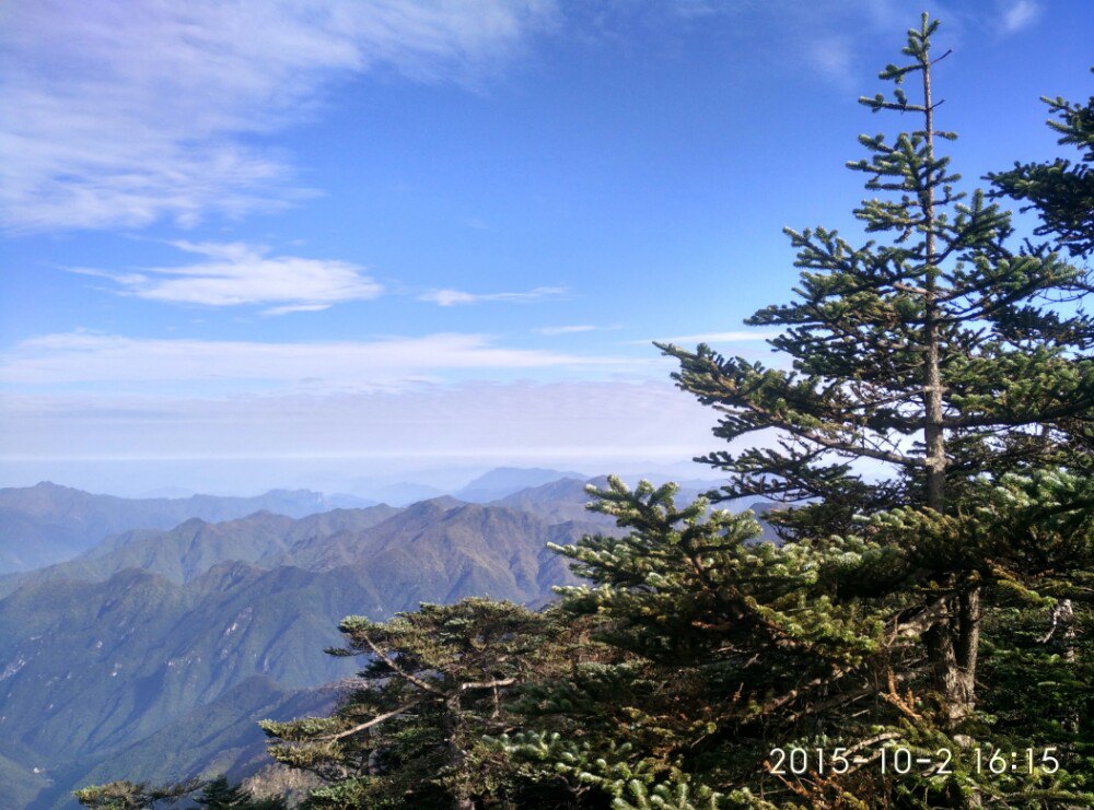 2019神農頂風景區_旅遊攻略_門票_地址_遊記點評,神農架旅遊景點推薦