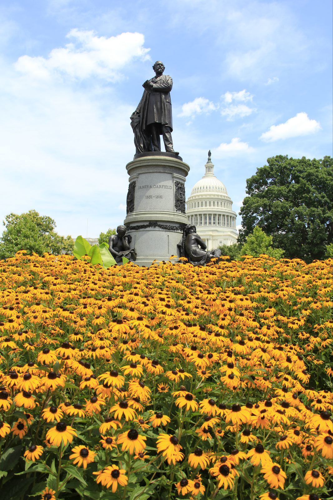 华盛顿美国国家植物园好玩吗,华盛顿美国国家植物园景点怎么样_点评