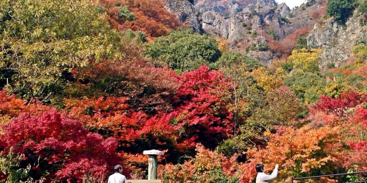 11月日本赏枫 高松 仓敷 小豆岛 仓敷市游记攻略 携程攻略