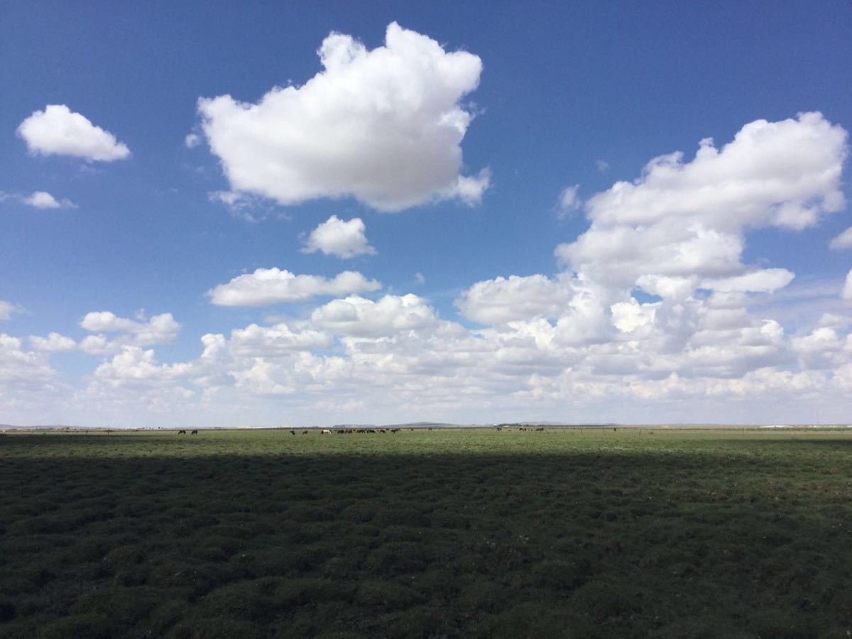 内蒙古呼和浩特 希拉穆仁草原 响沙湾2日1晚跟团游·全程无购物