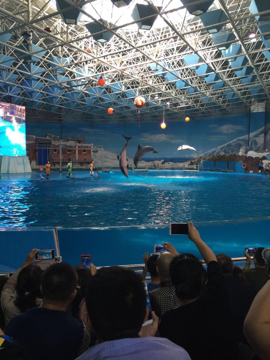 2019天津海昌極地海洋公園_旅遊攻略_門票_地址_遊記點評,天津旅遊