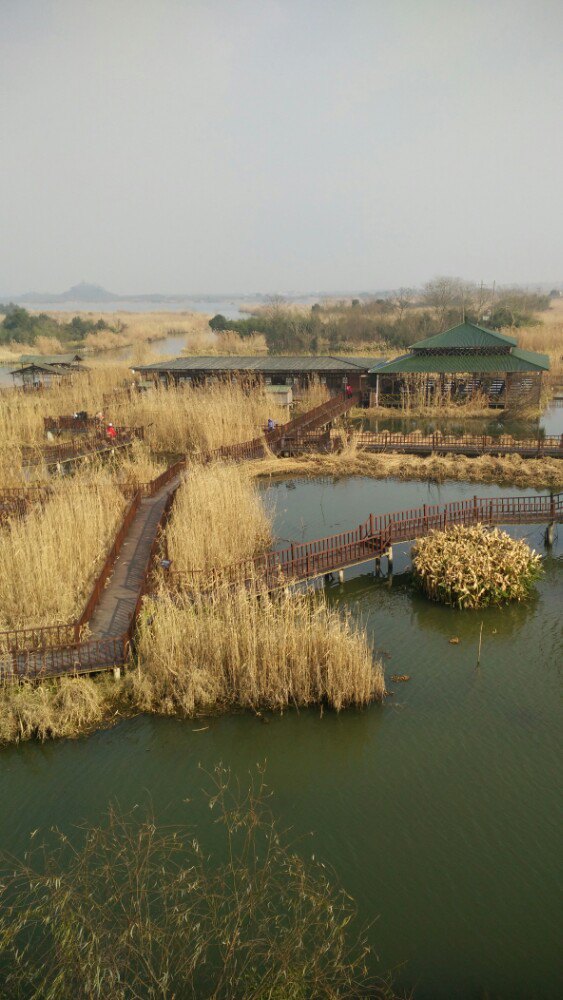 德清下渚湖湿地公园旅游景点攻略图