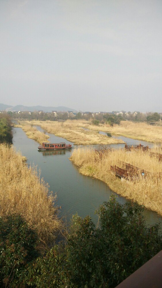 德清下渚湖溼地公園