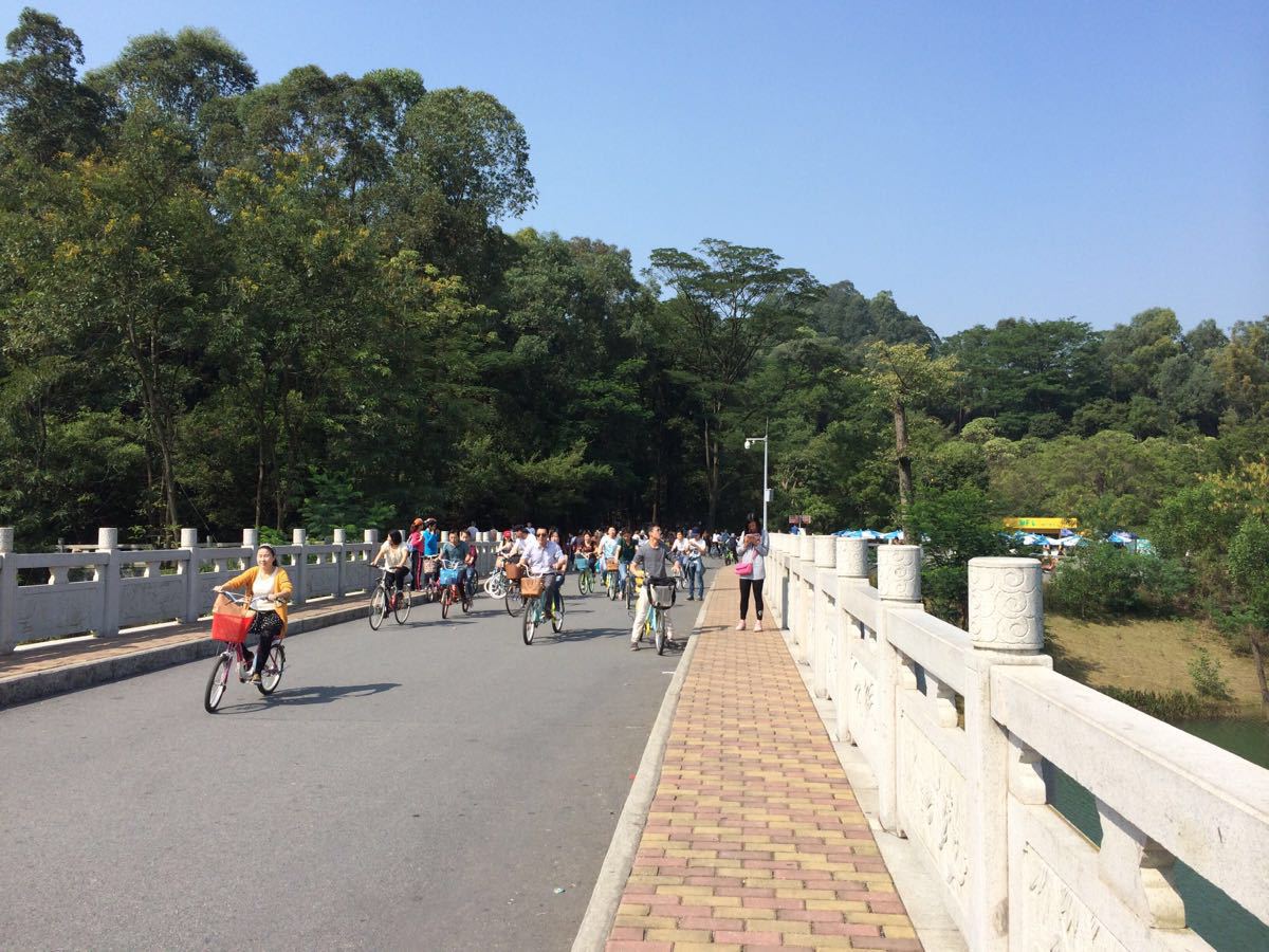 大夫山森林公园