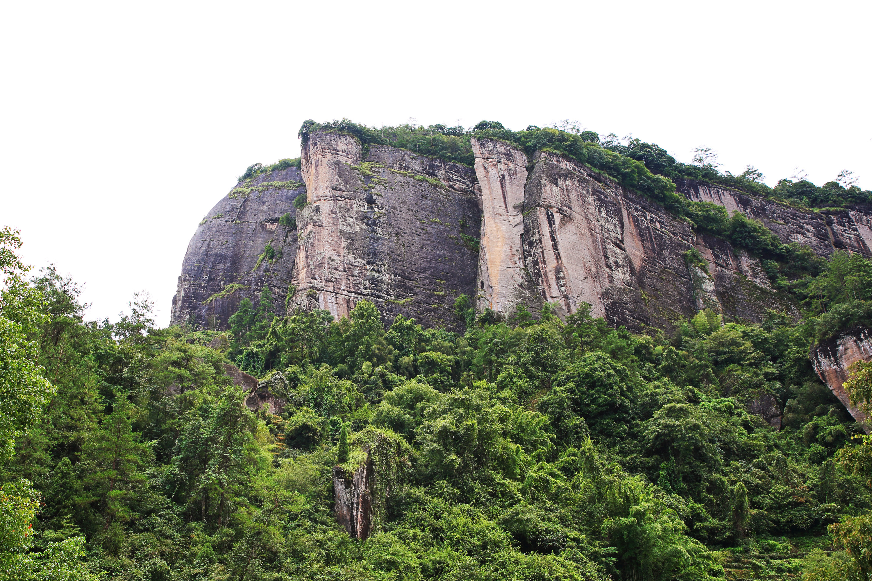 武夷山岩骨花香漫游道攻略,武夷山岩骨花香漫游道门票/游玩攻略/地址