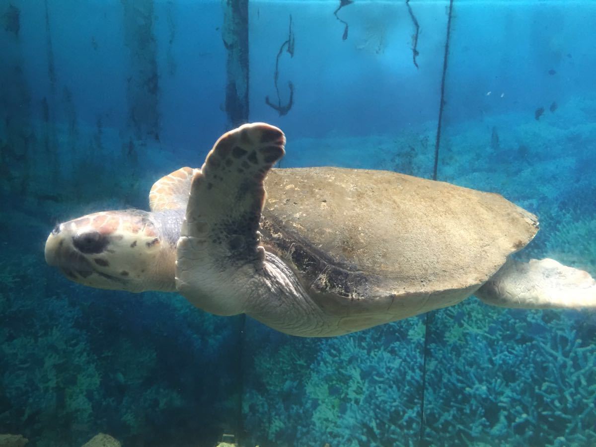 杭州動物園