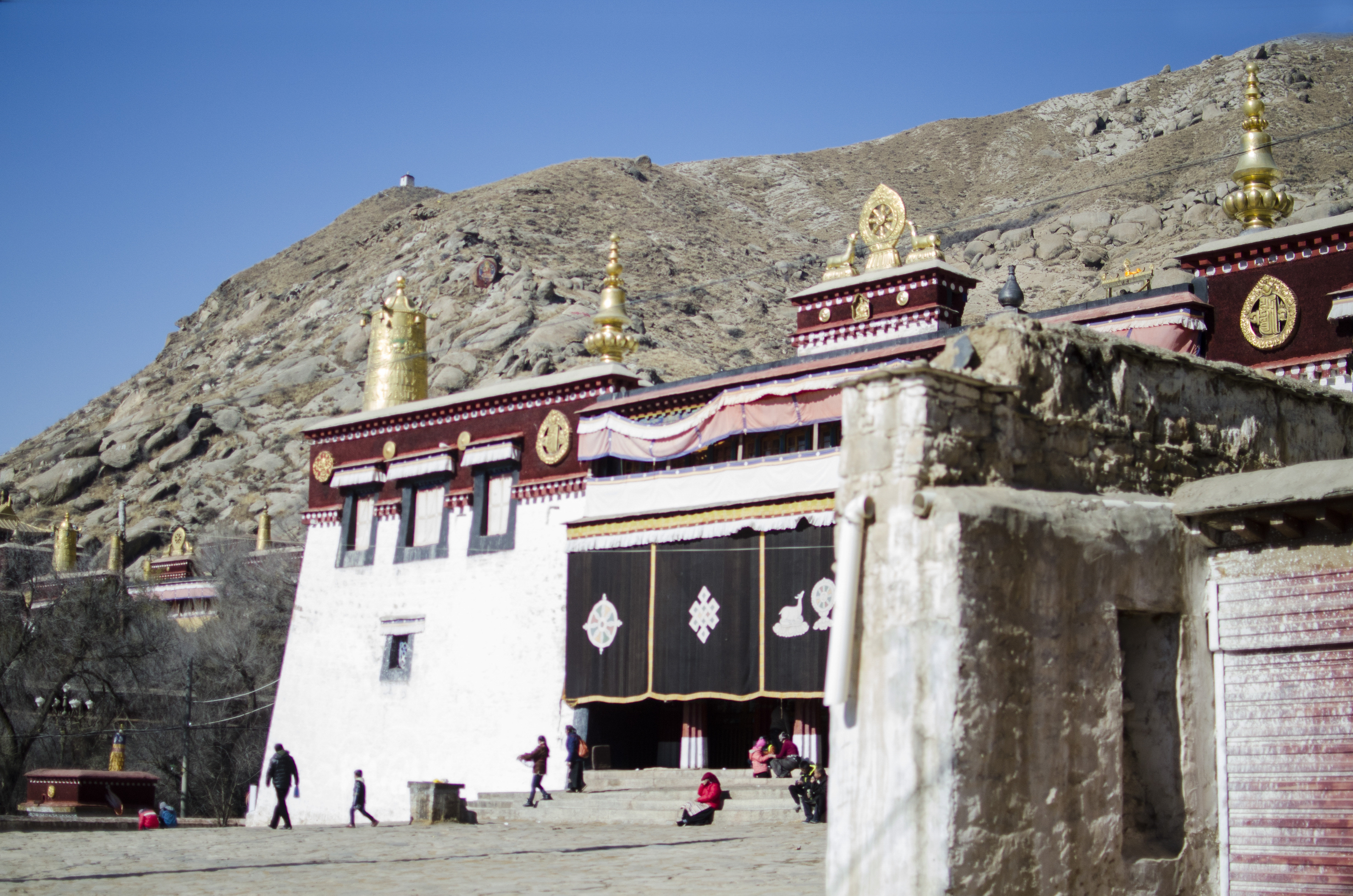 【携程攻略】拉萨色拉寺适合朋友出游旅游吗,色拉寺朋友出游景点推荐